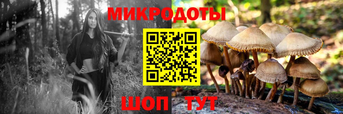Красногорск  Псилоцибиновые грибы Psilocybe  Вход с VPN 